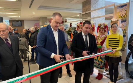 Над 22,5 млн. лв. бяха изплатени в подкрепа на българските пчелари през 2024 г.
