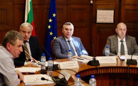 МЗХ предлага ограничение на водното съдържание в саламуреното сирене