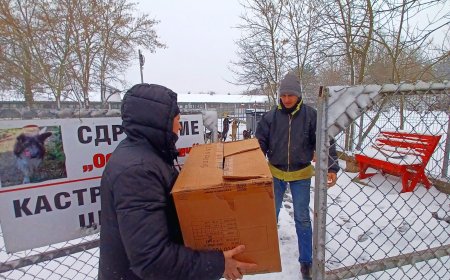 ДЦПЛУ отбелязва Световния ден на добротата с акт на подкрепа към бездомните животни
