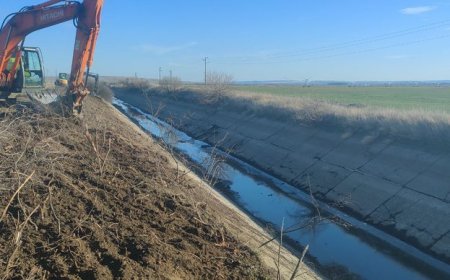 МЗХ стартира приемът на заявления за подпомагане за „Напоителни системи“ ЕАД по интервенцията за напояване