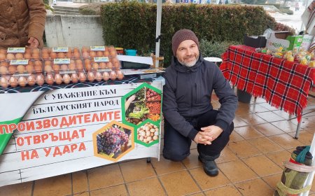 Николай Колев: Производителите отвръщат на удара