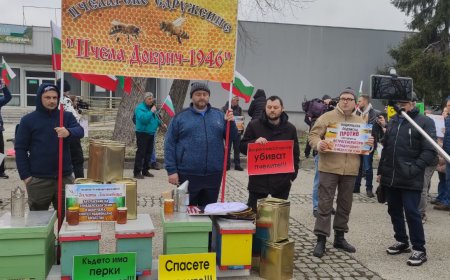 Пчелари протестираха срещу изграждането на вятърни паркове в земеделски земи