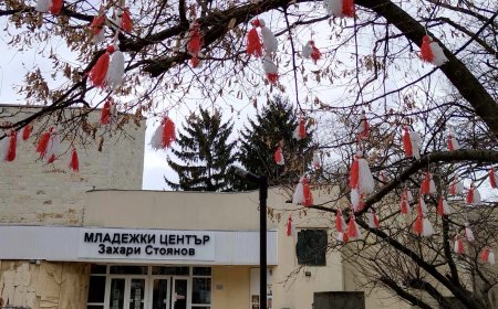 Доброволците от Младежки център - Добрич украсиха дърво със 100 ръчно изработени мартеници