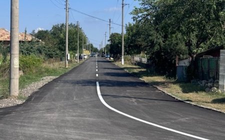АПИ обяви обществена поръчка за основен ремонт на близо 30 км третокласни пътища в област Добрич