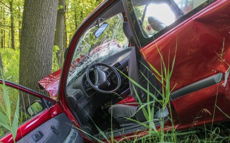 Автомобил се преобърна край село Пчелник