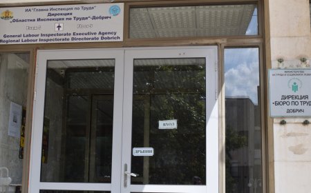 Средно по около 60 хиляди безработни на месец са имали право на обезщетение през 2024 г.