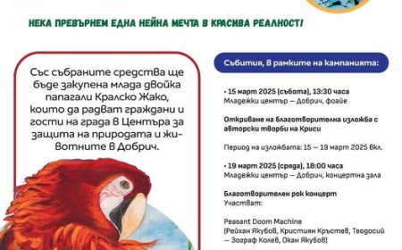 Благотворителна кампания в памет на Криси стратира днес в Добрич