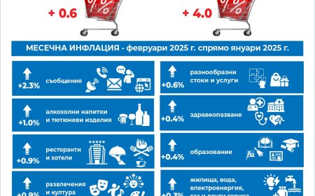 Кои сектори отчетоха най-голямо поскъпване през февруари 2025 г.?