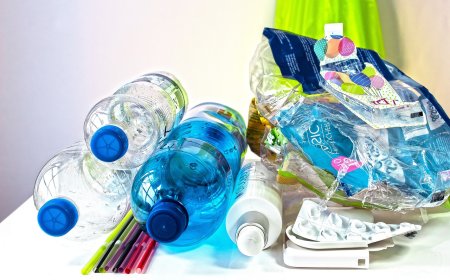Днес отбелязваме Световния ден на рециклирането