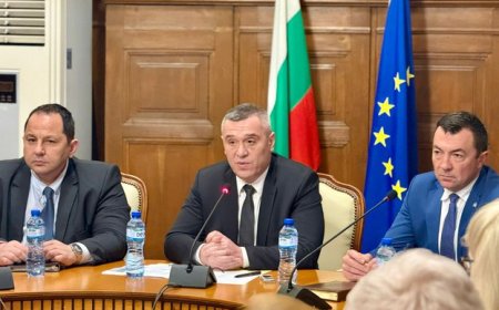 МЗХ: Въвежда се  регулация за 22 основни хранителни стоки