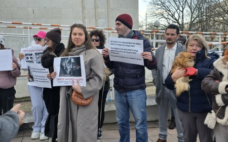 И в Добрич излязоха на протест срещу насилието над животни