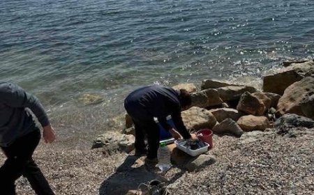 Продължава мониторингът на морските води заради военните действия на територията на Република Украйна
