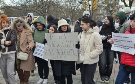 Национален протест срещу насилието над животни ще се проведе днес. Недоволни излизат и в Добрич