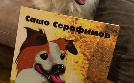 Среща с разказите на малкото куче Джими и неговият „Дневник…“ в Художествена галерия – Добрич