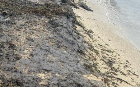 РИОСВ и БДЧР извършиха съвместна проверка след сигнали за нефтено замърсяване край Варна