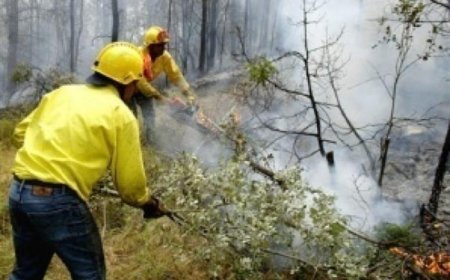 Община Добричка набира доброволци