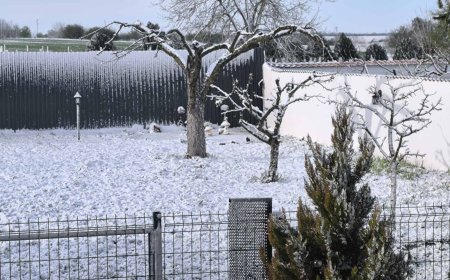 След снежната априлска буря, обстановката в област Добрич е нормална