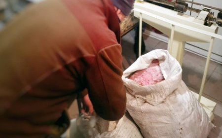 Над 100 кг калкан без документи хванаха да превозват край Добрич