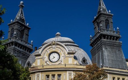 Малките земеделски стопани ще получат подпомагане от 2444 лева за Кампания`2024