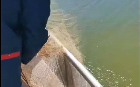 Откриха бракониерски мрежи в Дуранкулашкото езеро