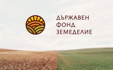 Община Добричка обновява социалния патронаж в с. Стожер