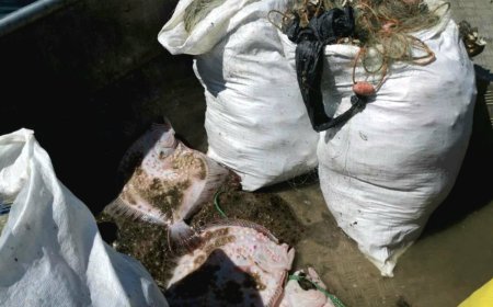 Шест хрилни мрежи откриха инспектори от Дуранкулак до Русалка