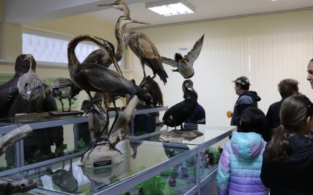 В Историческия музей – Генерал Тошево тържествено беше открита гостуващата изложба „Птиците на България“