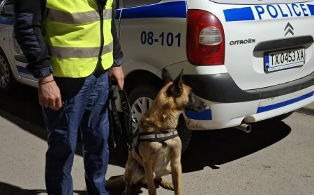 Тридневна специализирана полицейска операция „Абитуриенти” се провежда в Добрич