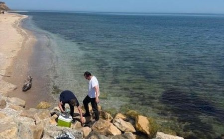 Басейнова дирекция продължава с мониторинга на морските води