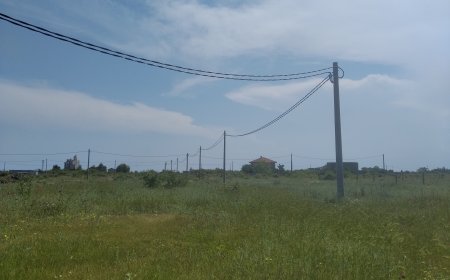 ЕРП Север вложи над половин милион лева в изграждането на нова въздушна мрежа в СО „Топола“