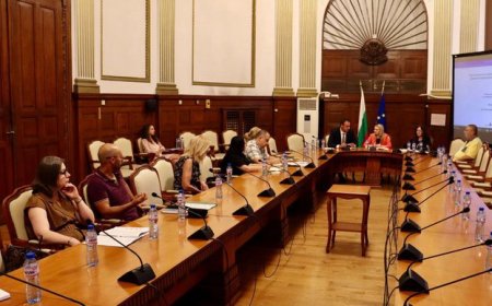 11,7 млн евро ще бъдат насочени към залесяване и възстановяване на горски територии