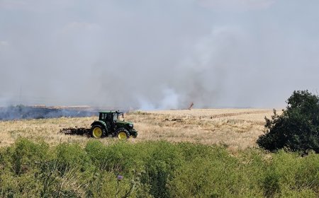 Около 150 декара с пшеница в землището на с. Йовково изгоряха при пожар