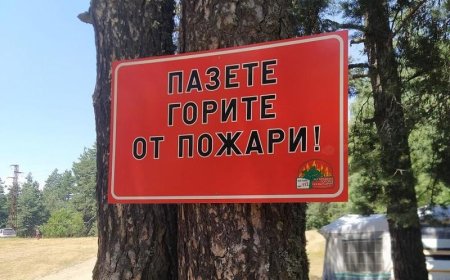 Засилва се превантивният контрол за опазване от пожари в защитените територии