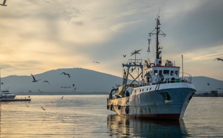 Над 1,6 млн. лв. изплати ДФ „Земеделие“ в подкрепа на рибарството и аквакултурите