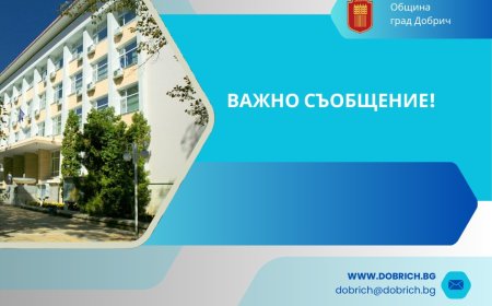 Временно изключване на светофар заради резитба на дървета в Добрич на 15 юли следобед