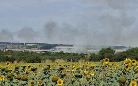 Пожар в покрайнините на Добрич