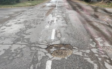 С. Кардам: Път няма, но маркировка има