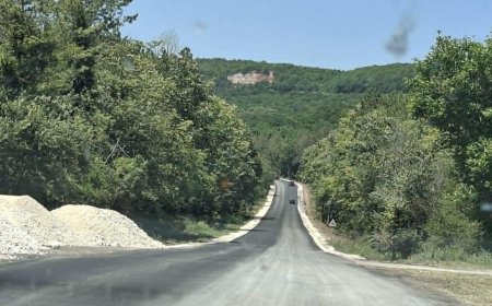 Затварят участък от пътя Добрич-Оброчище от утре