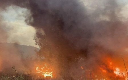 Пожар бушува в гробищния парк на с. Златия, община Добричка
