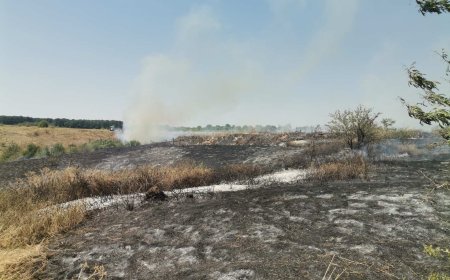 МЗХ напомня: При опожарени земеделски площи стопаните трябва да подадат сигнал в ДФЗ
