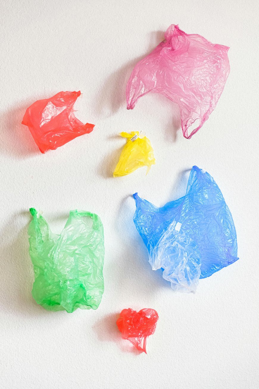 3 юли – Ден без найлонови торбички за чиста планета