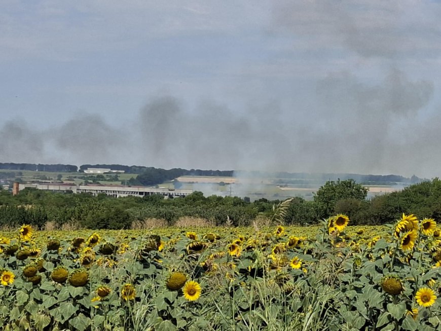 Пожар в покрайнините на Добрич