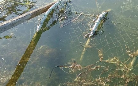 Откриха винтери в Дуранкулашкото езеро