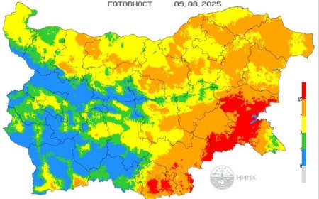 Гореща вълна и висок риск от пожари: МОСВ и НИМХ с призив за повишено внимание