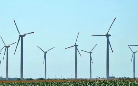 Граждани и общини в спор за ВЕИ-проекти в Добруджа