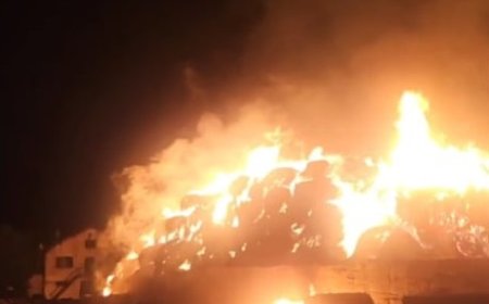 Пожар изпепели кравеферма във Вранино тази нощ