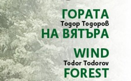 „Вятър – птици – вода“ вдъхновяват Фестивала на хвърчилата в Шабла