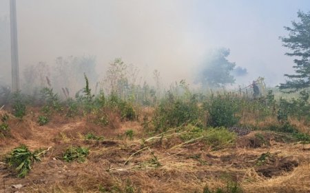 Жена изхвърли кофа с боклук с незагасена цигара и предизвика пожар в с. Честименско