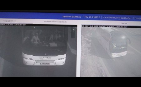 Нова функция на тол-а засича липсата на поставен предпазен колан