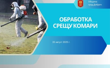 Утре пръскат срещу комари в Градския парк в Добрич